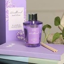 Miniso Woodland Reed Diffuser 100ML(Ylang)
