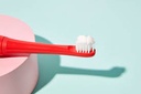 Multi-color Electric Toothbrush Kit(Red)