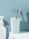 Toothbrush with Replaceable Heads (1 Handle & 3 Heads), Random Colors