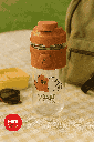 We Bare Bears Collection 4.0 Plastic Water Bottle With Straw And Spout Cap 650ML