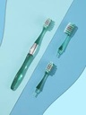 Toothbrush with Replaceable Heads (1 Handle & 3 Heads), Random Colors