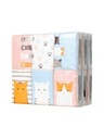 Cartoon Unscented Facial Tissues (18 pac)